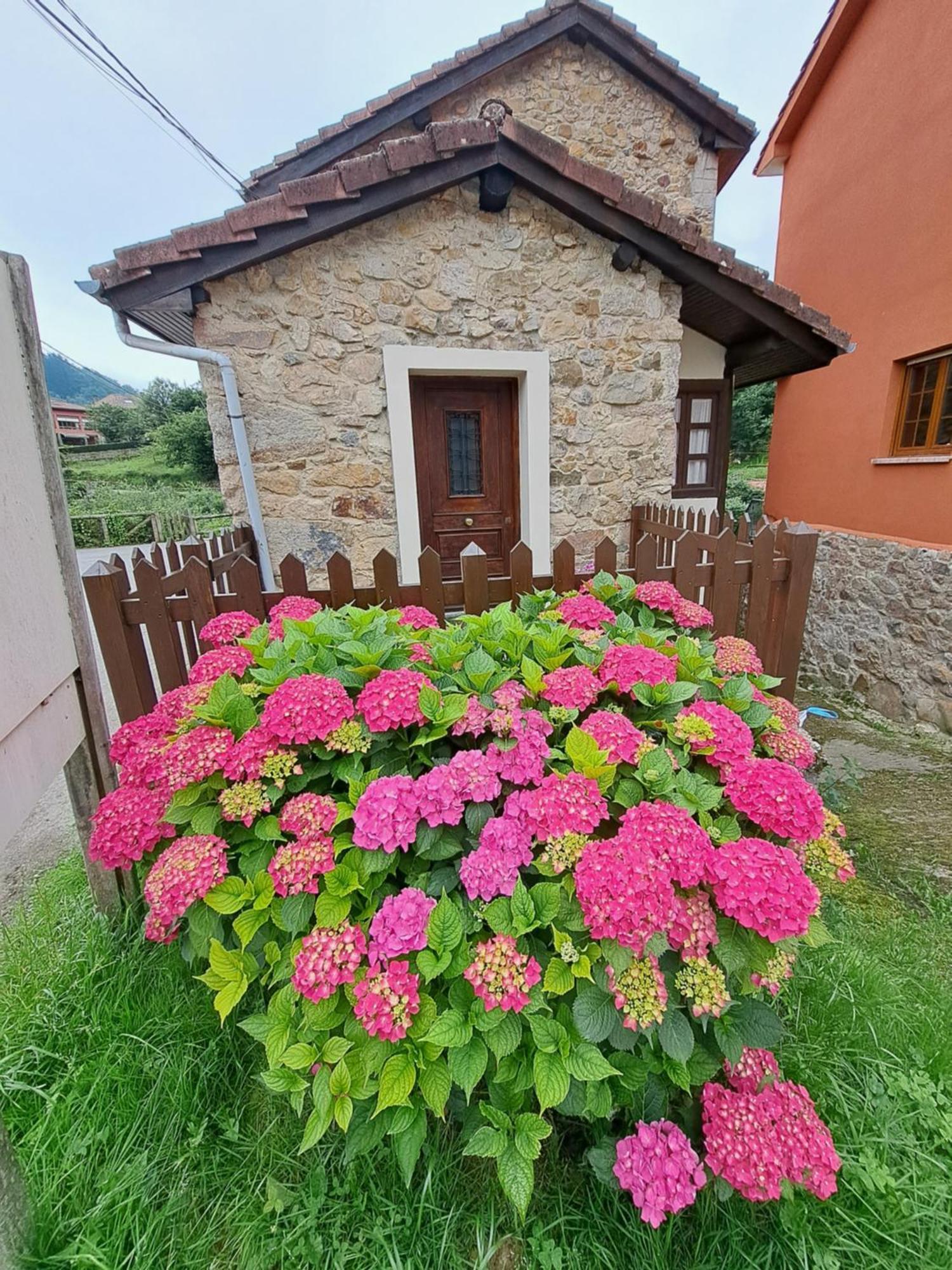 Casa Rural El Puente De Agues Soto De Agues Εξωτερικό φωτογραφία